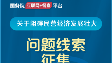 啊'~肏逼国务院“互联网+督查”平台公开征集阻碍民营经济发展壮大问题线索